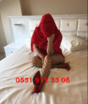Şirinevler bayan eskort Beylikdüzü Escort ✌️❤️ Beylikdüzü Bayan Escort Şirinevler bayan eskort